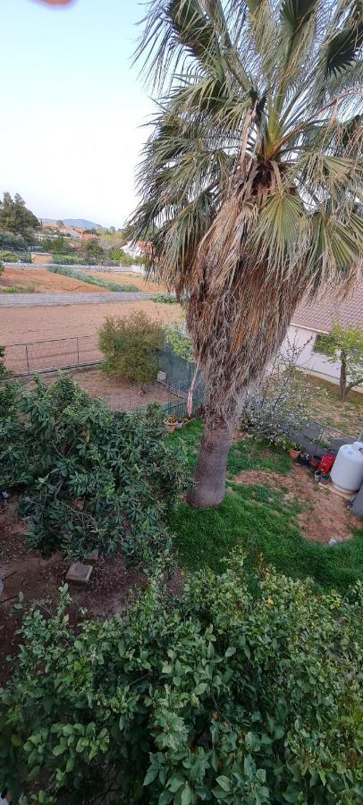 'The Seagull' Traditional Cottage Nea Makri Bagian luar foto